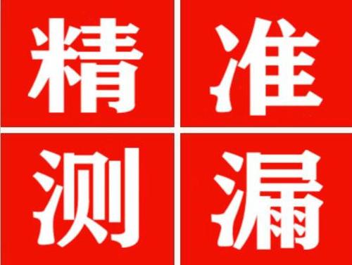 普格尚嘉漏水精准查找